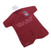 Picture of LIVERPOOL MINI KIT
